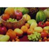Tapete Boucle cozinha Elegance 0,45 X 0,65